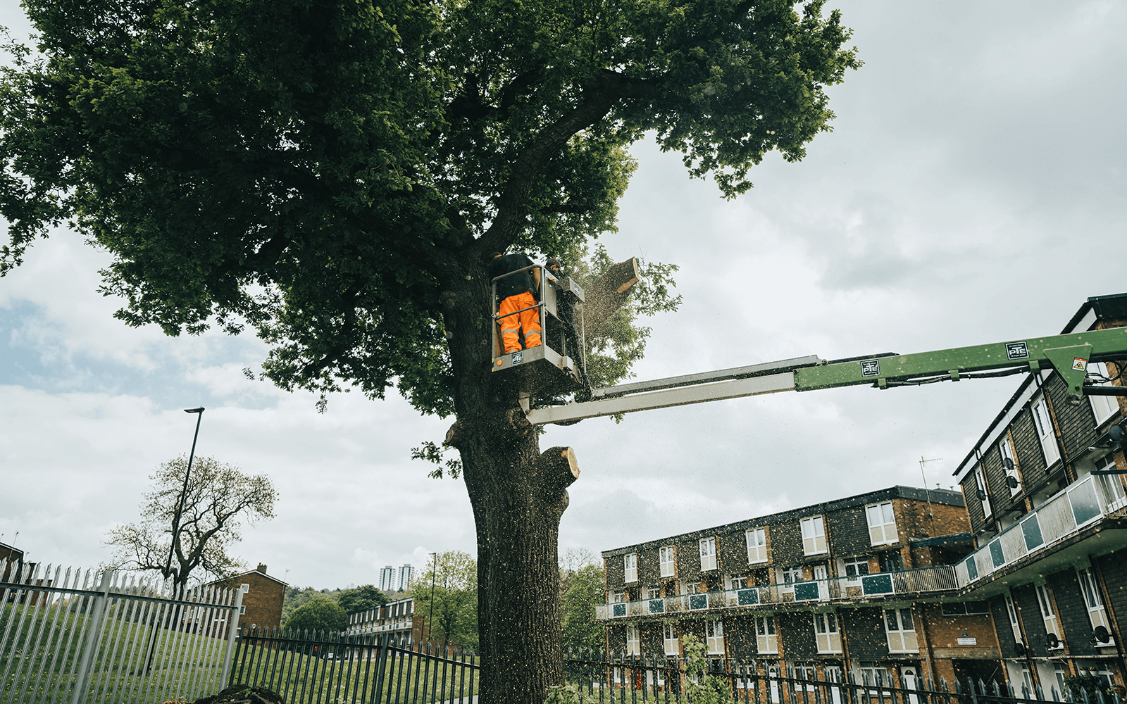 Prestige Landscaping Work